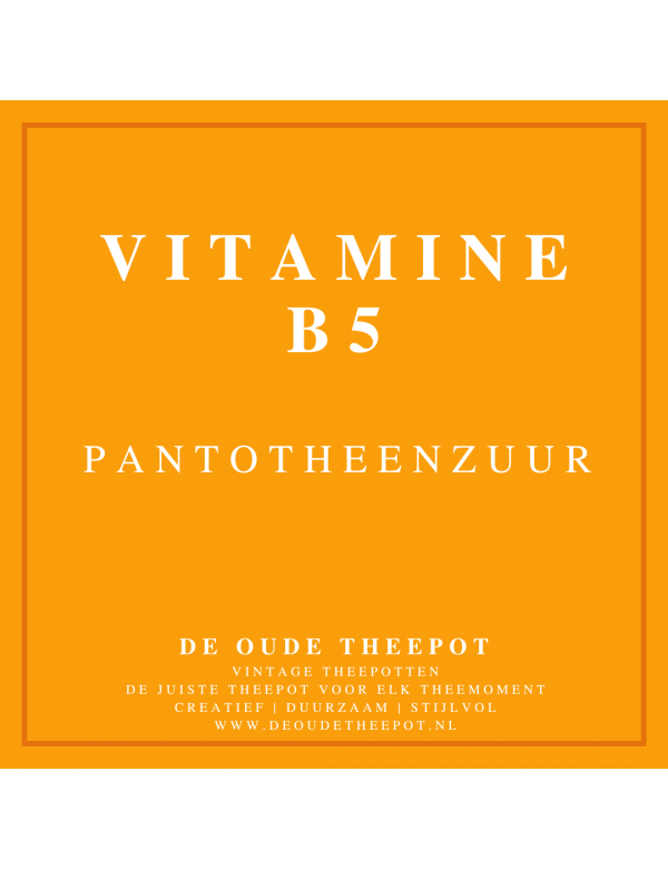VTM006-VITAMINE-B5-PANTOTHEENZUUR-VITAMINEN-FYTONUTRIËNTEN